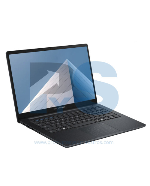 Computador ASUS ExpertBook B1403CVA-S66369
