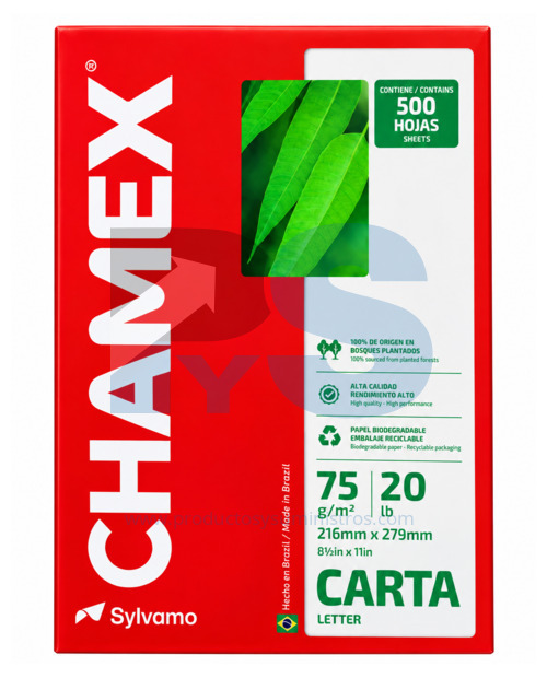 Papel Fotocopia Chamex Carta 75 g x 500 Hojas